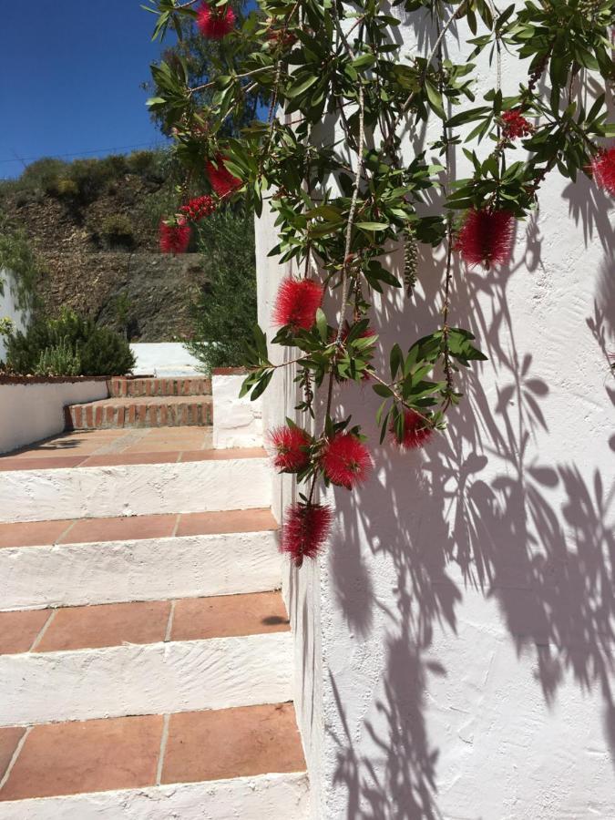 B&B And Apartments Cortijo La Zapatera Canillas de Aceituno Bagian luar foto