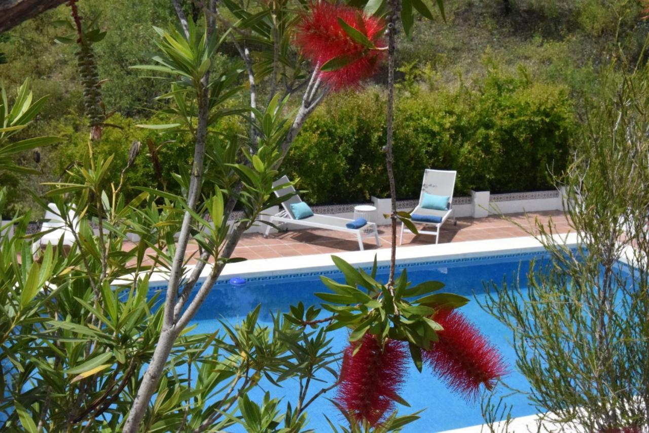 B&B And Apartments Cortijo La Zapatera Canillas de Aceituno Bagian luar foto