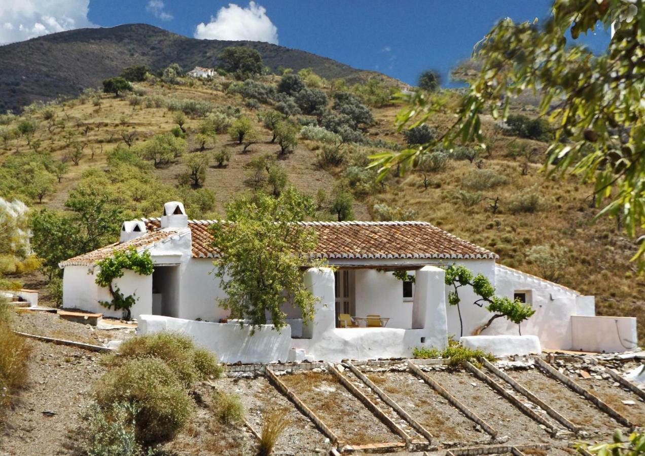 B&B And Apartments Cortijo La Zapatera Canillas de Aceituno Bagian luar foto